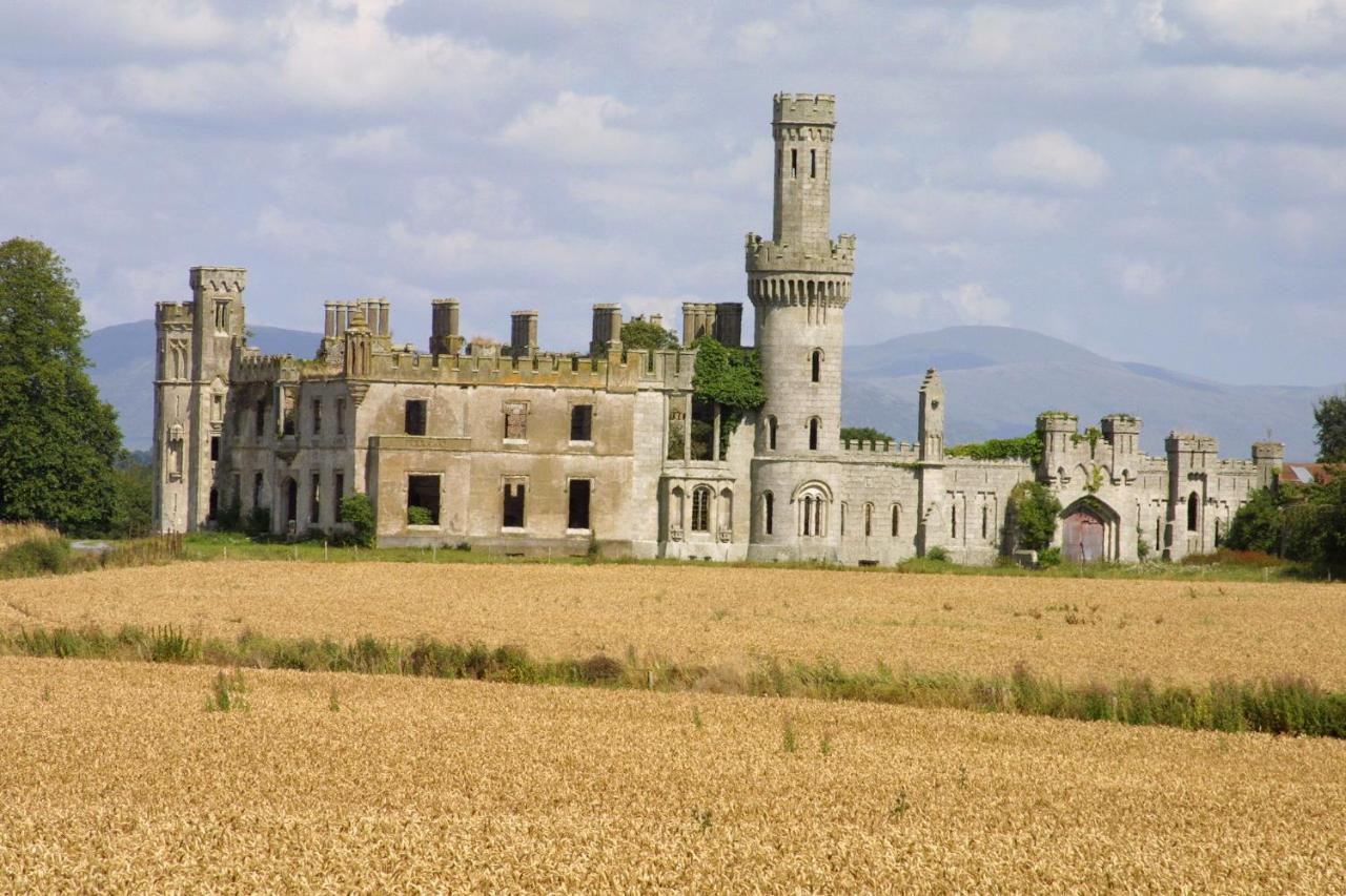 Seven Oaks Hotel Carlow Zewnętrze zdjęcie